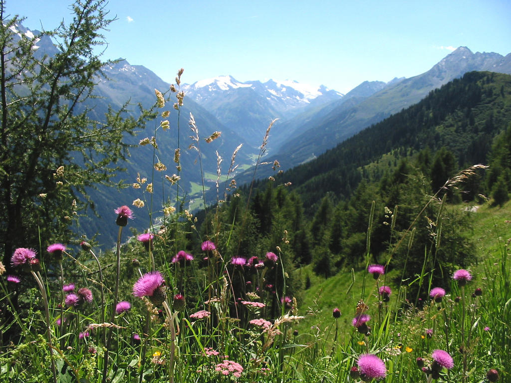 Chalet Claudia Apartment Neustift im Stubaital Exterior photo