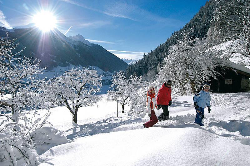 Chalet Claudia Apartment Neustift im Stubaital Exterior photo